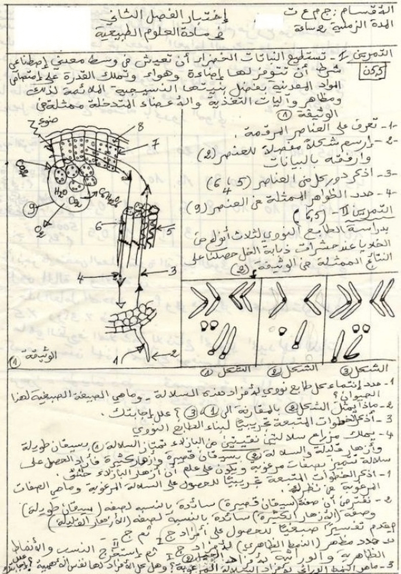 موقع واجباتي اول ثانوي مسارات