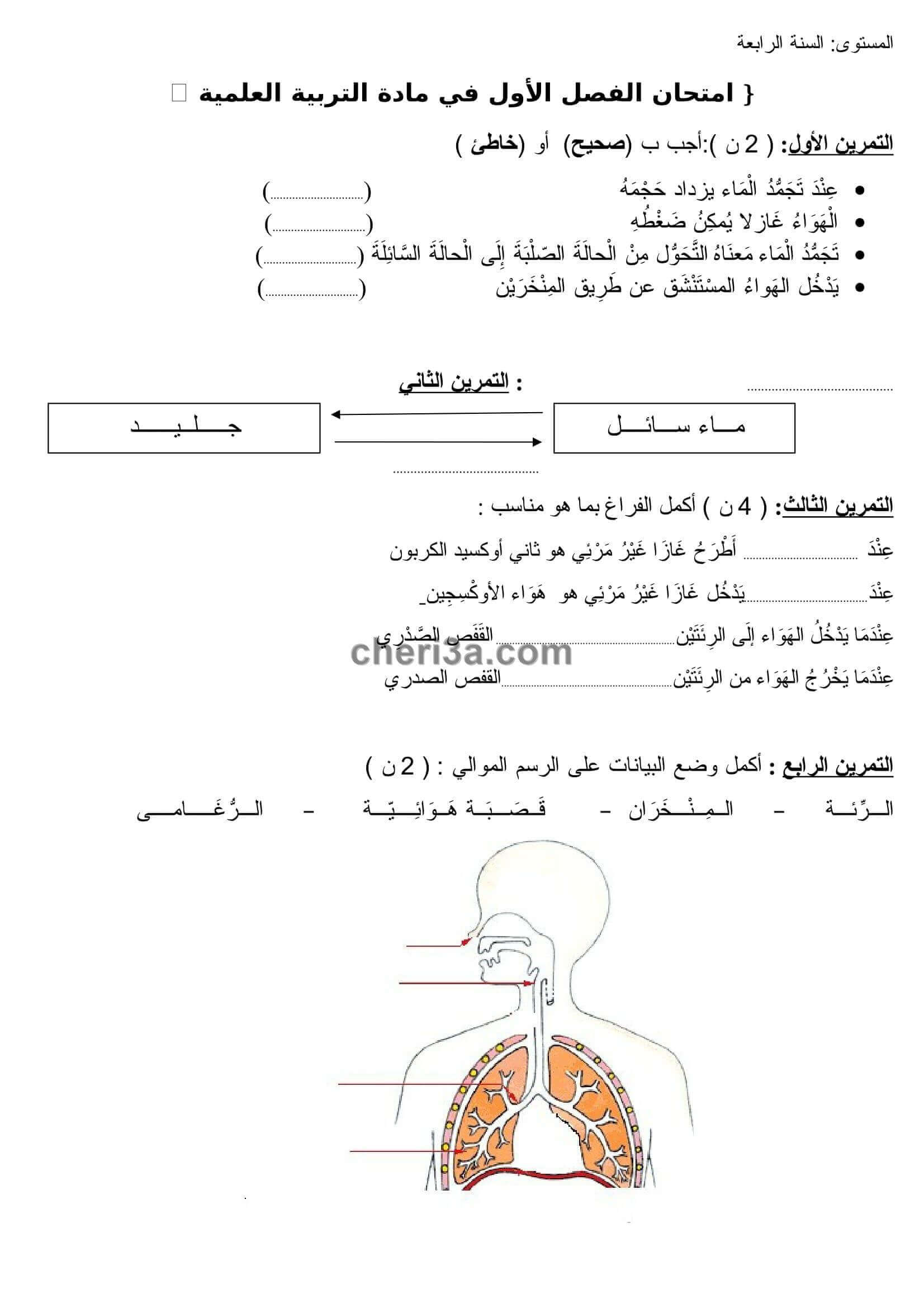 اختبار الفصل الاول للسنة الرابعة ابتدائي في مادة التربية العلمية النموذج 2