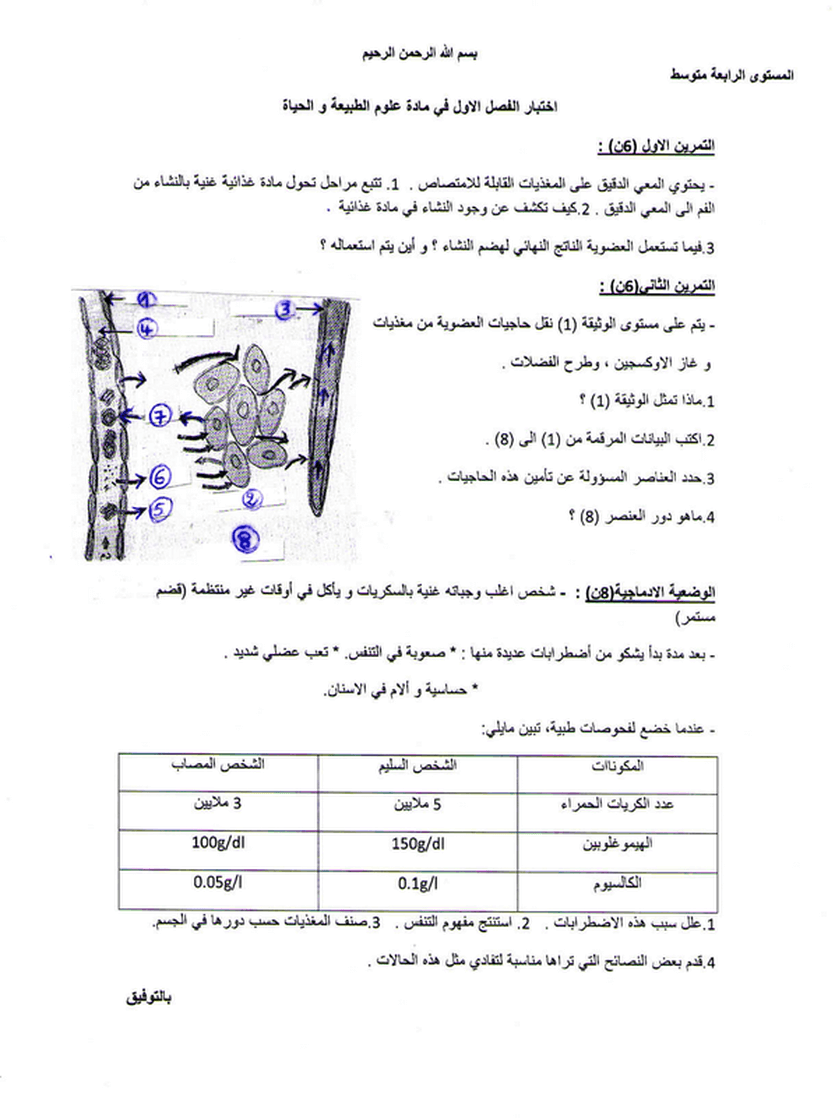 اختبار الفصل الاول في العلوم الطبيعية للسنة 4 متوسط النموذج 12