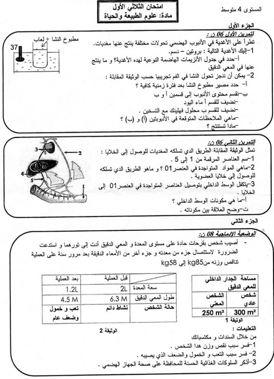 اختبار الفصل الاول في العلوم الطبيعية للسنة 4 متوسط النموذج 14