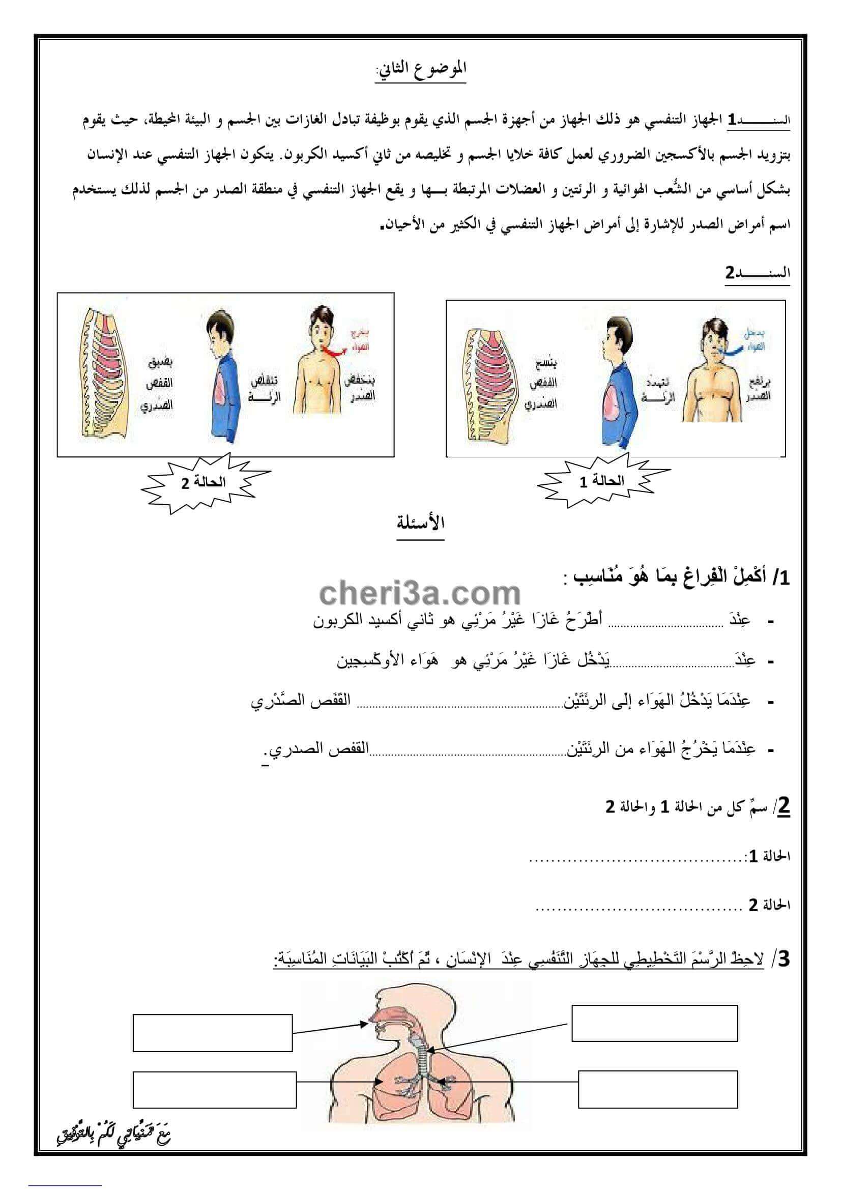 اختبار الفصل الاول للسنة الرابعة ابتدائي في مادة التربية العلمية النموذج 6