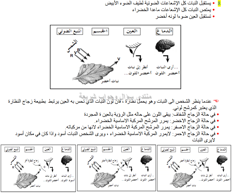 حل تمرين 8 ص 180 فيزياء 3 متوسط